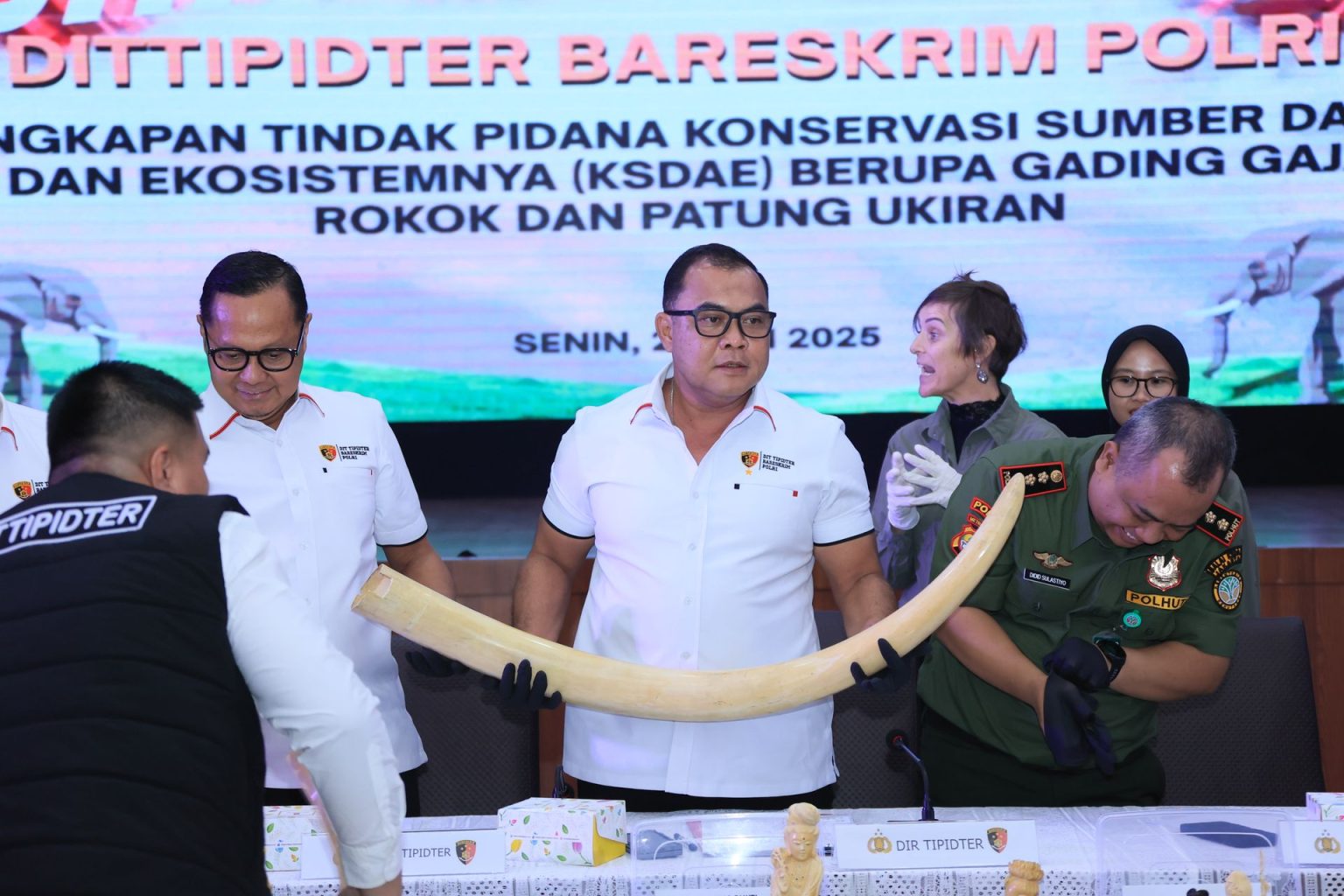 Polri Ungkap Penjualan Gading Gajah hingga Patung Ukiran Senilai Rp2,3 Miliar