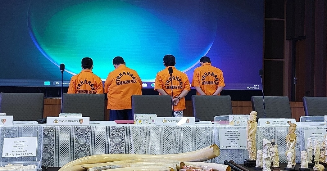 Polri: Tersangka Jual Gading Gajah via Medsos TikTok hingga Facebook