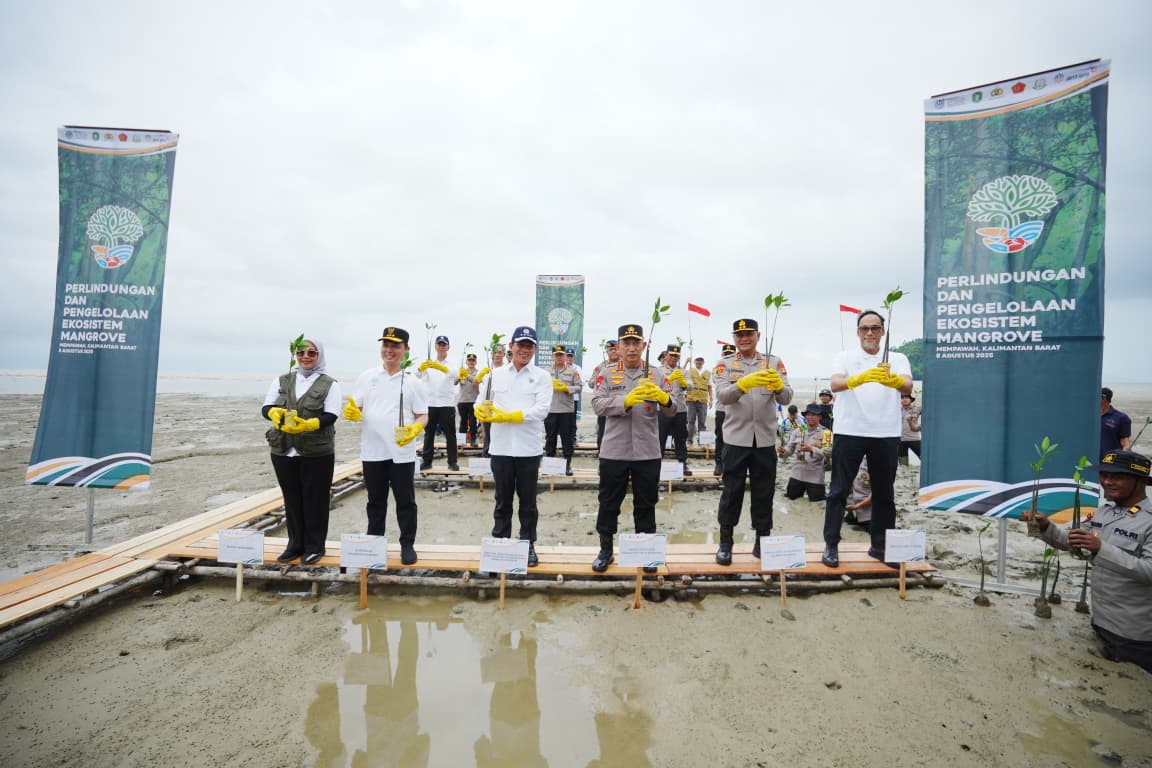 Kapolri dan Menteri LH Tanam Mangrove di Kalbar, Ajak Masyarakat Jaga Lingkungan